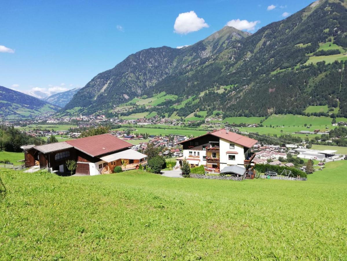Urlaub Am Krausberghof, Apartment Mit Balkon Und Parkplatz, Inmitten Der Natur, Sauna Und Infrarotkabine, Kostenfreie Kaffeekapseln, 6 Fahrminuten Zur Alpentherme Gastein Und Zur Schlossalmbahn, Spielplatz Бад Хофгаштайн Экстерьер фото