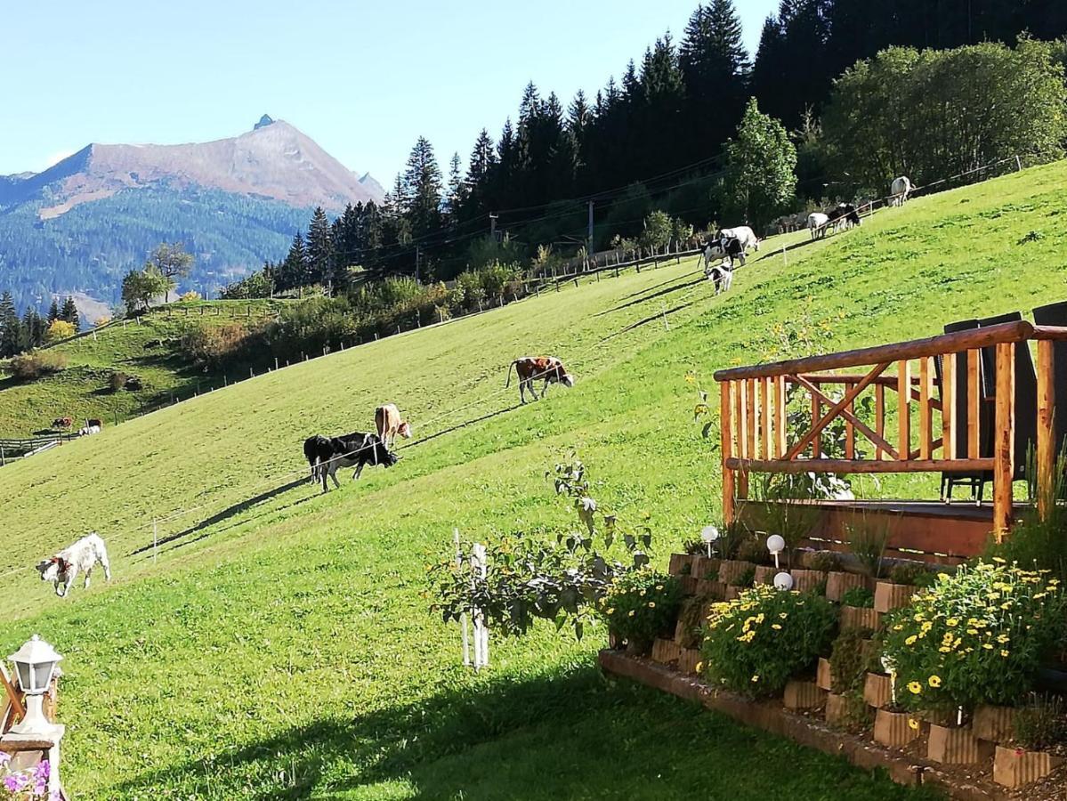 Urlaub Am Krausberghof, Apartment Mit Balkon Und Parkplatz, Inmitten Der Natur, Sauna Und Infrarotkabine, Kostenfreie Kaffeekapseln, 6 Fahrminuten Zur Alpentherme Gastein Und Zur Schlossalmbahn, Spielplatz Бад Хофгаштайн Экстерьер фото