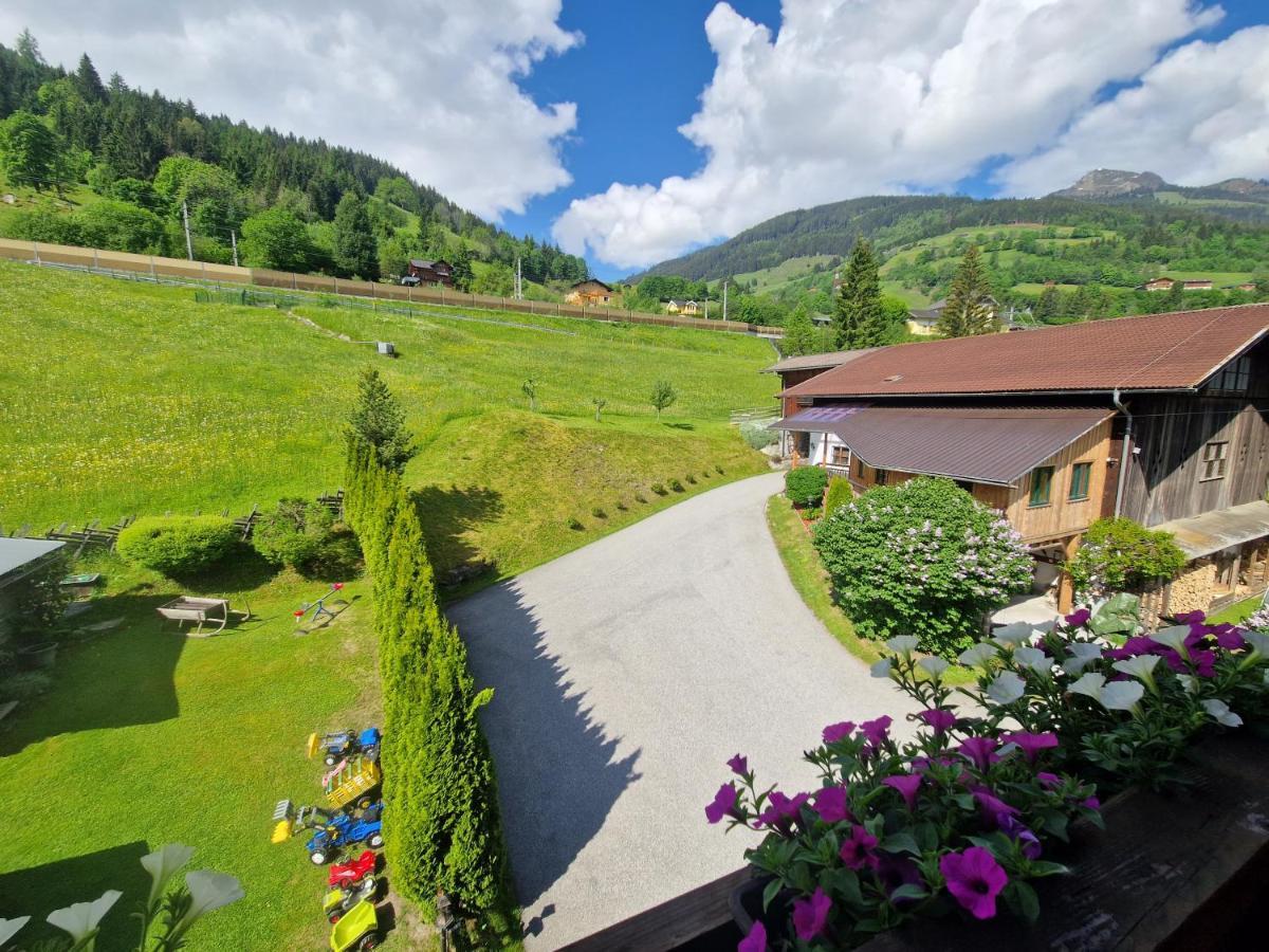 Urlaub Am Krausberghof, Apartment Mit Balkon Und Parkplatz, Inmitten Der Natur, Sauna Und Infrarotkabine, Kostenfreie Kaffeekapseln, 6 Fahrminuten Zur Alpentherme Gastein Und Zur Schlossalmbahn, Spielplatz Бад Хофгаштайн Экстерьер фото