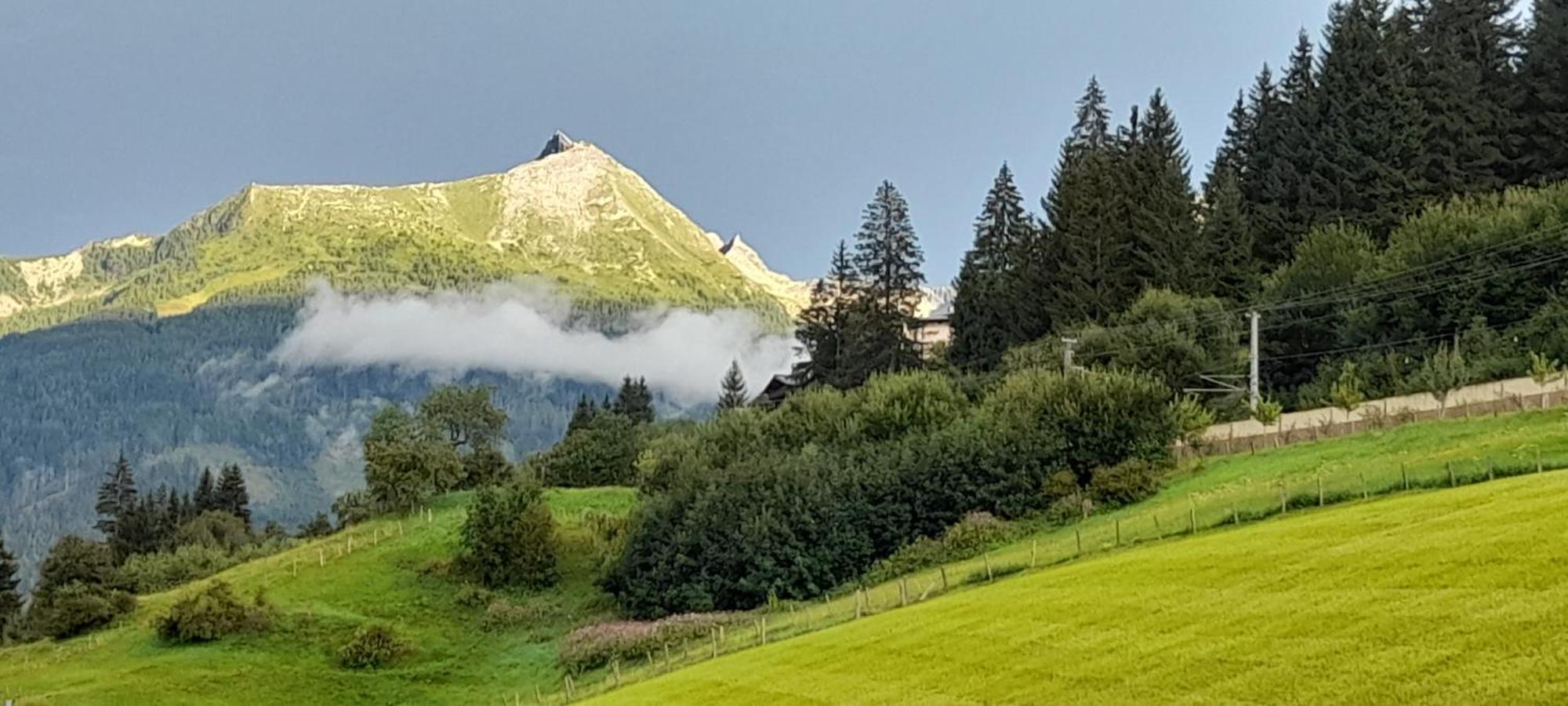 Urlaub Am Krausberghof, Apartment Mit Balkon Und Parkplatz, Inmitten Der Natur, Sauna Und Infrarotkabine, Kostenfreie Kaffeekapseln, 6 Fahrminuten Zur Alpentherme Gastein Und Zur Schlossalmbahn, Spielplatz Бад Хофгаштайн Экстерьер фото